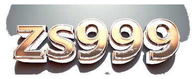zs999 logo